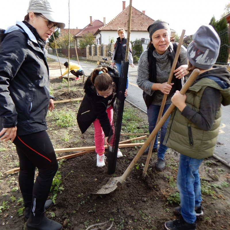Közösségi faültetés Berettyóújfaluban 31